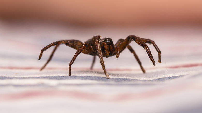 woman scratching an insect bite