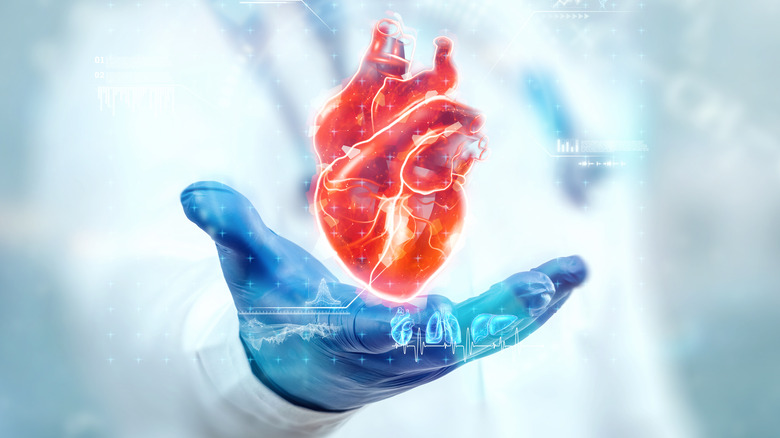 conceptual image of doctor holding a heart