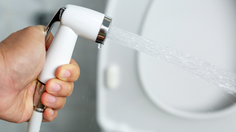 hand holding a bidet sprayer in the bathroom