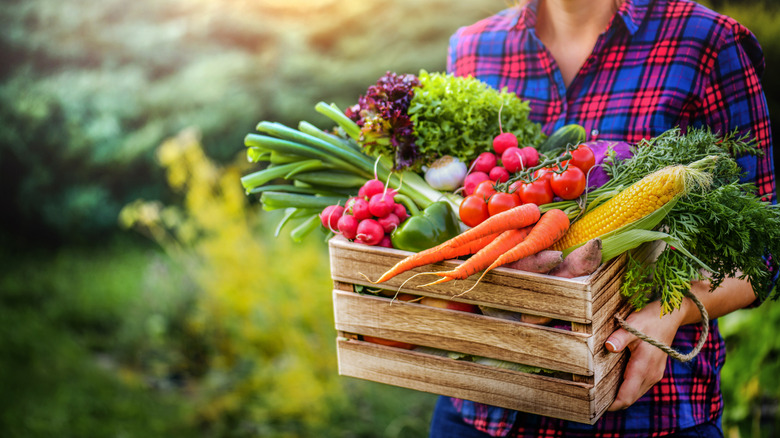 Person carrying fresh produce