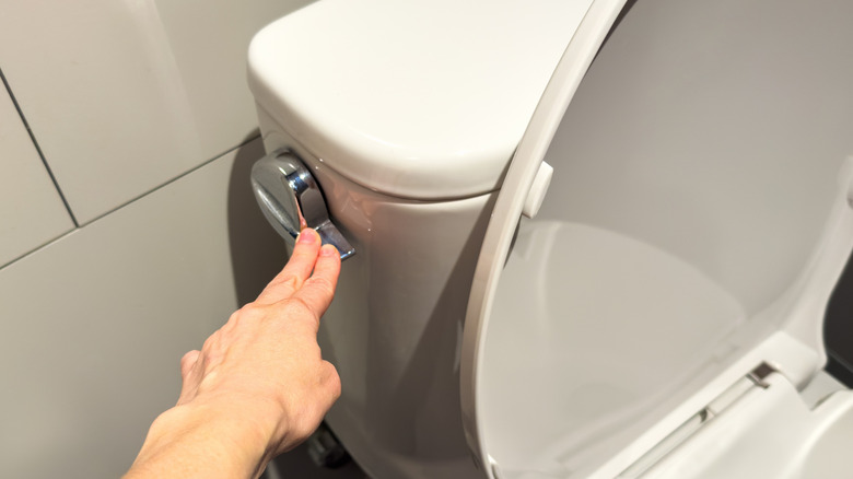 man's hand flushing a toilet