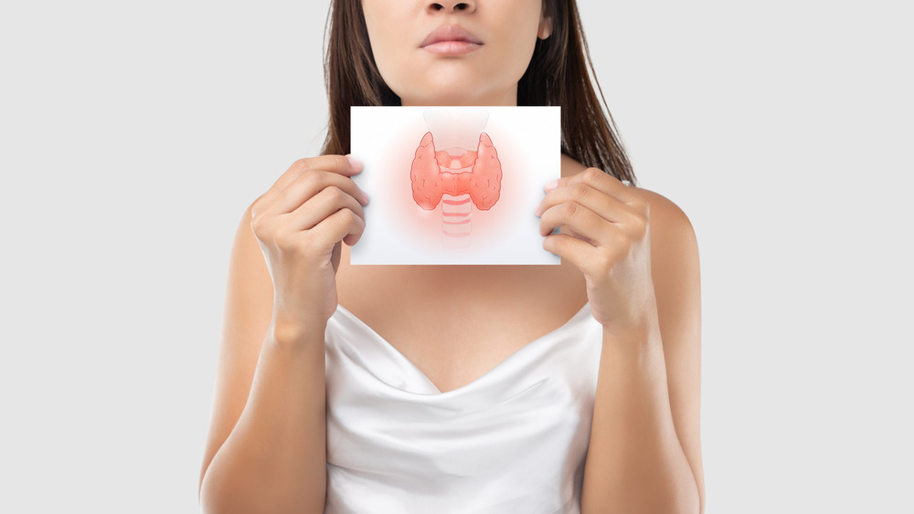Woman holding an illustration of thyroid gland