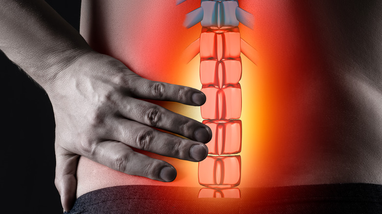 Conceptual image lower back vertebrae
