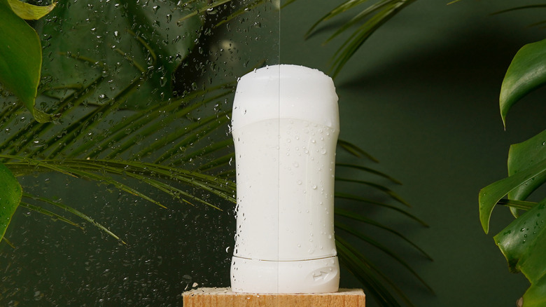deodorant stick