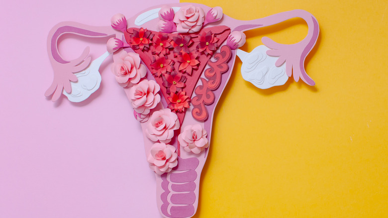 concept image of endometriosis