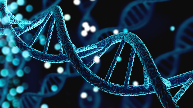 DNA strand