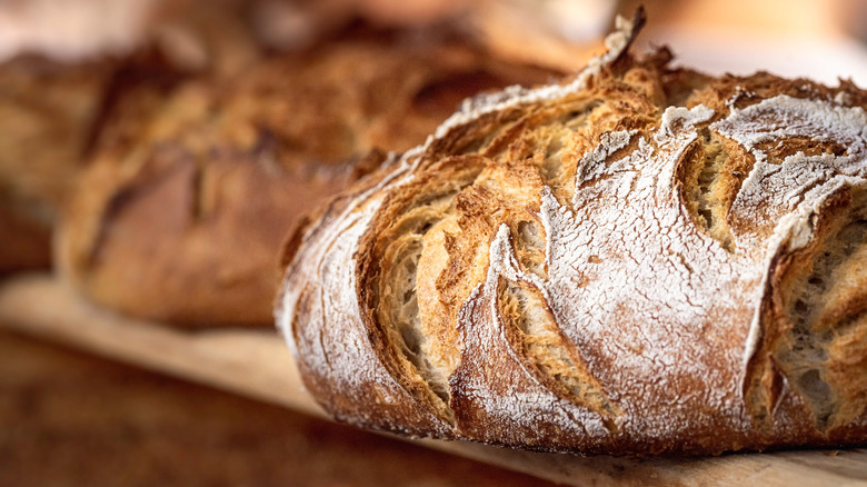 freshly baked sourdough 
