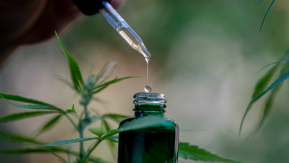 CBD oil in a dropper with bottle