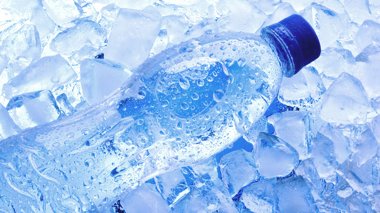 Is Drinking From A Frozen Plastic Water Bottle Safe?