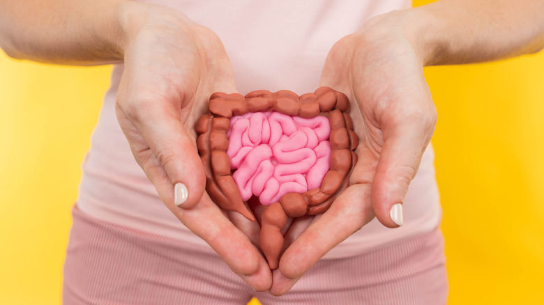 woman holding model of digestive tract