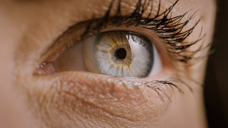 Close up of hazel eye