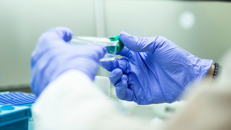 scientist's gloved hands holding sample
