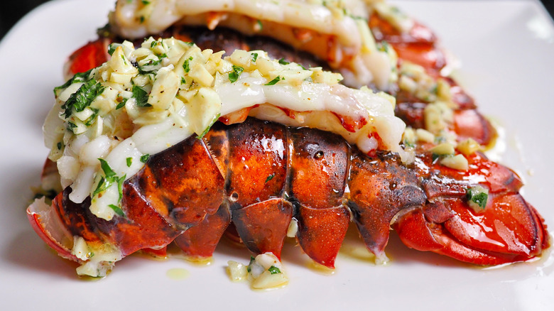 Stuffed lobster tail