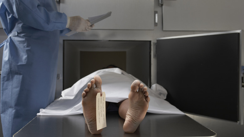 doctor examining dead body in morgue