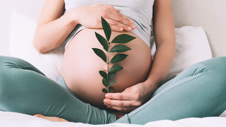 Healthy pregnant belly