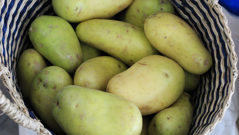 basket of greenish potatoes