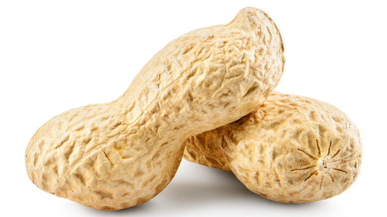 Two peanut shells on white background
