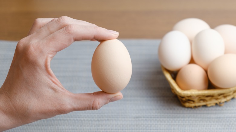 fingers holding an egg