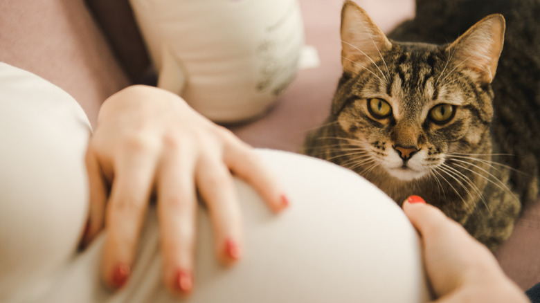 Pregnant woman with a cat