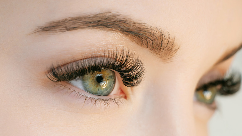 Close up of female eye wearing green contact lens
