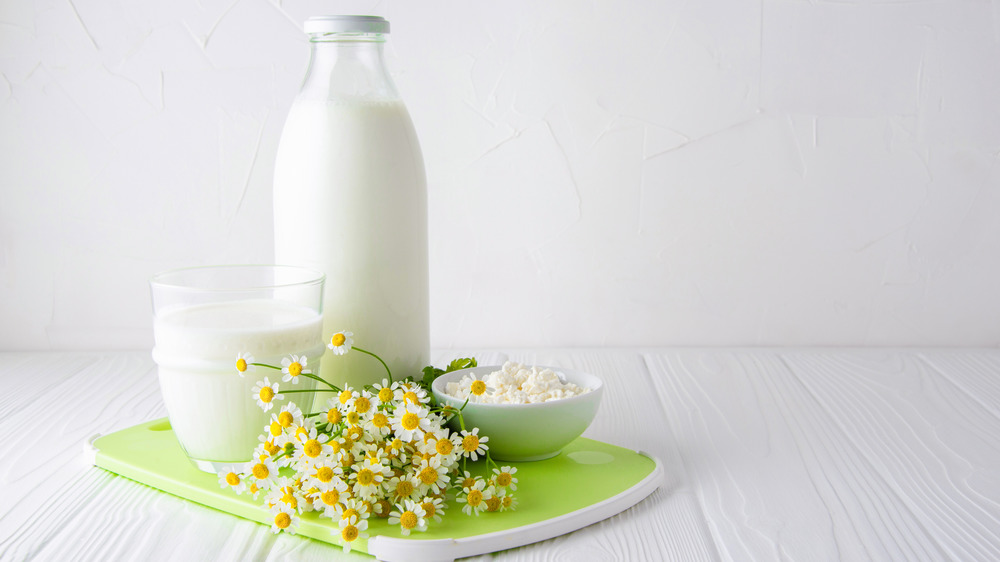 Kefir in a bottle with kefir grains