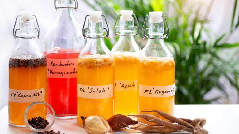 Colorful bottles of kombucha