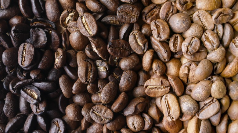 light roast and dark roast coffee beans 