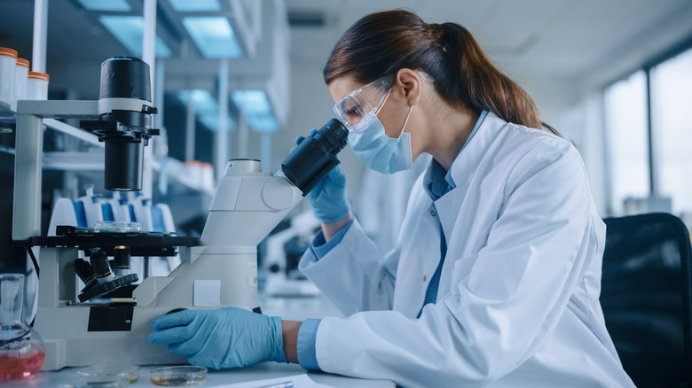 scientist conducting research in lab