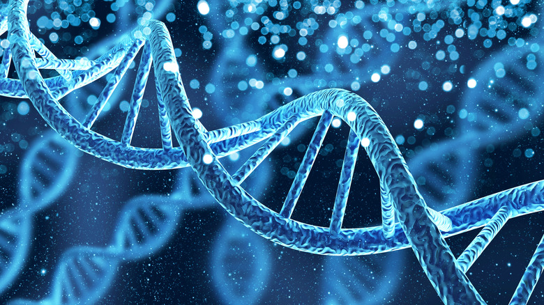 DNA genes