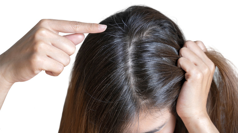 Closeup of woman's head with a few gray hairs