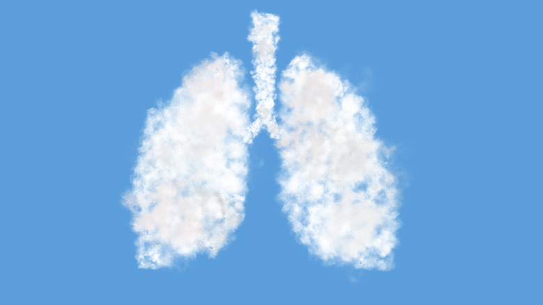 Lungs