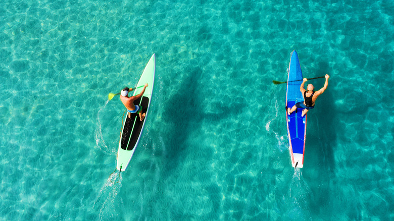 two men paddle boarding 