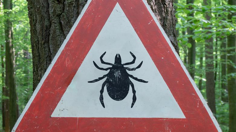 Tick warning sign outside wooded area