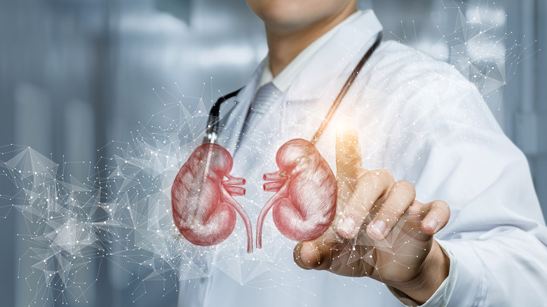 Close up of doctor's hand touching a hologram image of two kidneys