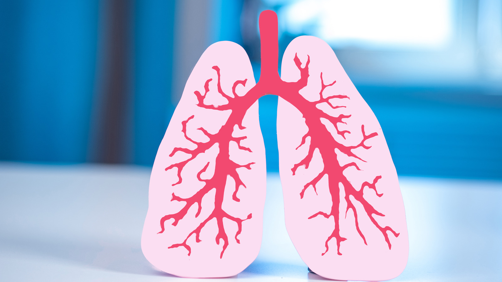Is There A Difference Between Your Right And Left Lung?