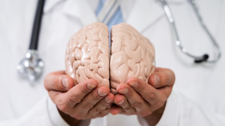 doctor holding brain