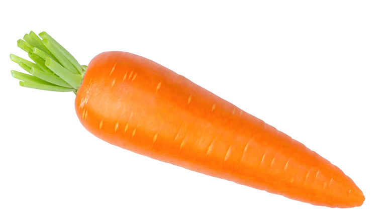 carrot