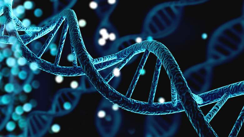 3D DNA strand