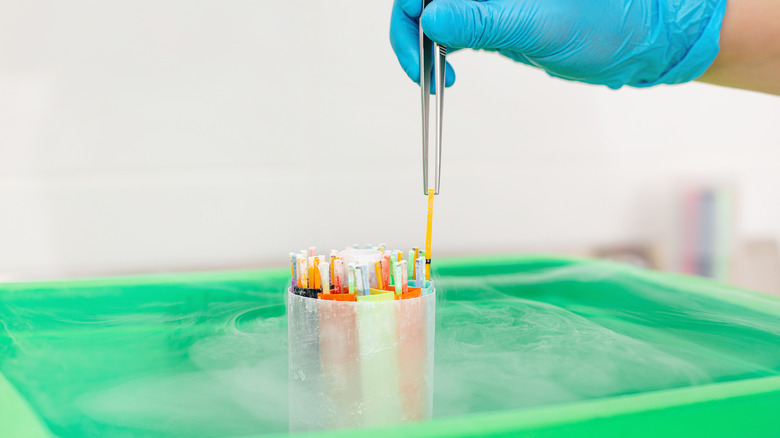 Embryos in liquid nitrogen for IVF