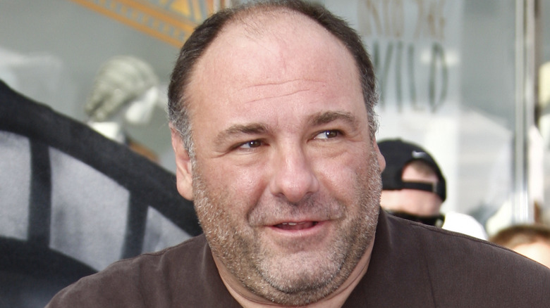 Close up shot of actor James Gandolfini 