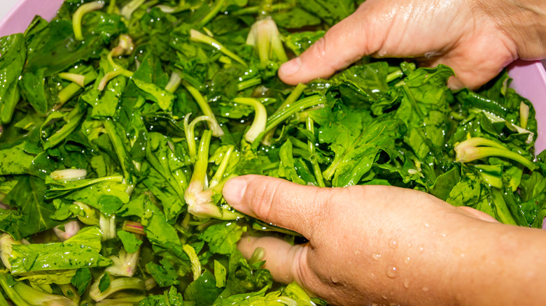 woman washing leafy greens