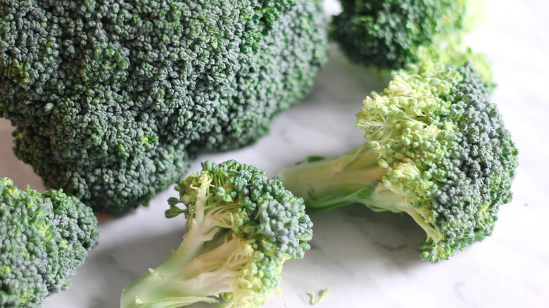 washed broccoli on counter 