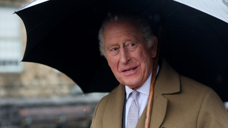 King Charles smiling in a tan coat under a rain-soaked umbrella.