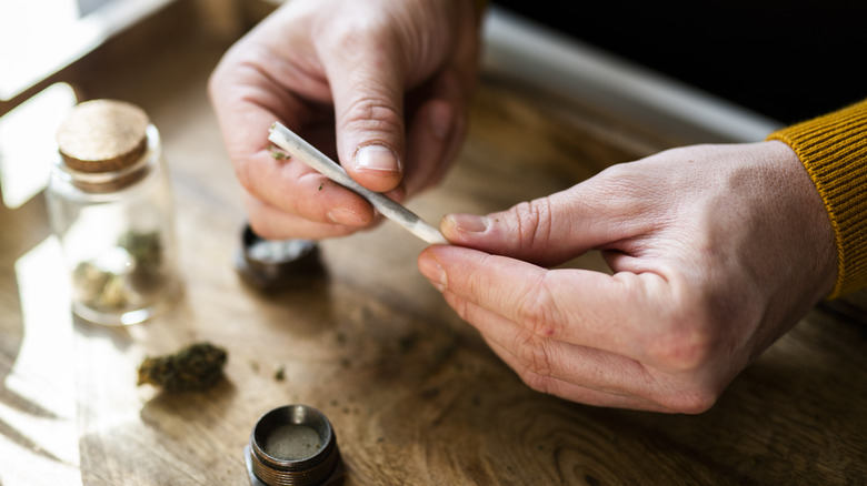 Man's hands rolling marijuana joint 