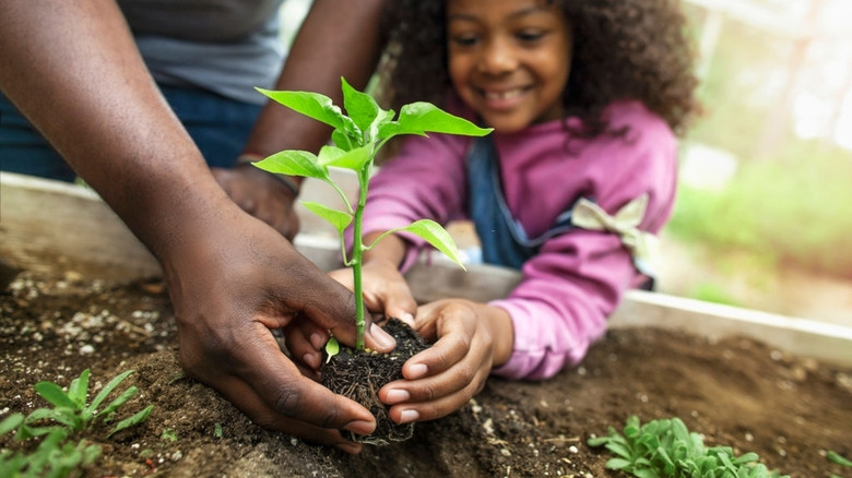 Father and daughter gardening