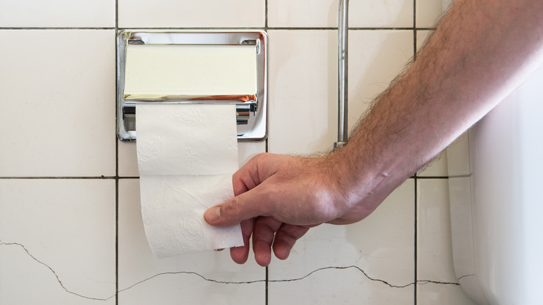 hand reaching for toilet paper