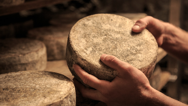 aged cheese