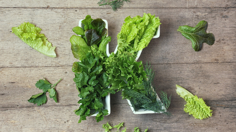 leafy greens in the shape of the letter K
