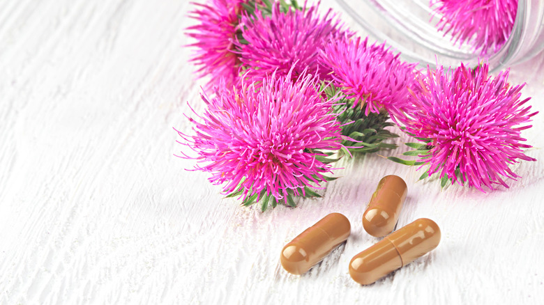 Silybum marianum pills and flowers  