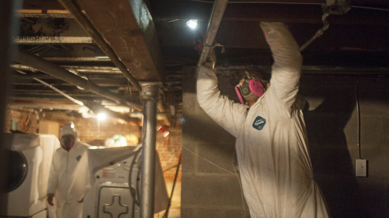 Workers cleaning mold from basement